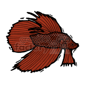 The clipart image depicts a Siamese fighting fish, also known as a Betta fish. It features the characteristic long, flowing fins and vibrant color that these fish are known for, typically in shades of red.