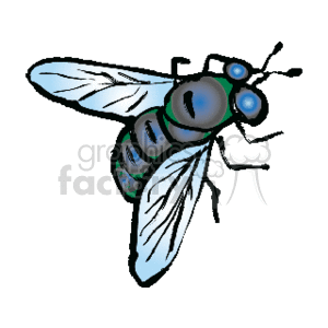 The image is a clipart of a fly (bluebottle). It features a stylized version of the insect with prominent eyes, wings, and legs, characteristic of what you would expect from a common housefly, rendered in a way that is suitable for various graphic design uses.