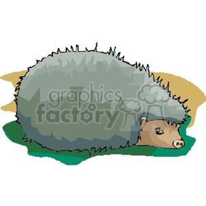 The clipart image depicts a cartoon hedgehog lying on the ground with its spines visible. Its face is showing, with details including small ears, eyes, and a nose.