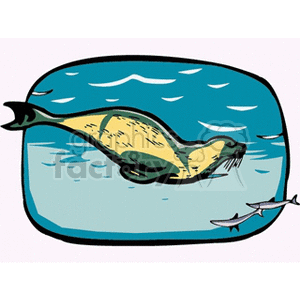 The clipart image depicts a seal swimming in the water with a small fish in the background. The seal appears to be in motion, going through the water effortlessly.