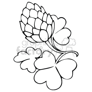 This clipart image features a stylized depiction of clover leaves, often associated with St. Patrick's Day and Irish symbolism. The image includes a three-leaf clover, known as a shamrock, which is a common symbol for Ireland and St. Patrick's Day celebrations. It is presented in a black and white outline, suitable for coloring or graphic design.