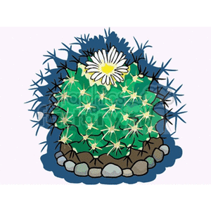 cactus21412