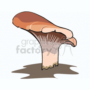 mushroom52