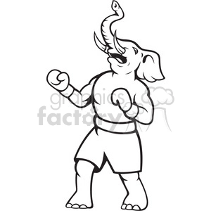 black and white elephant republican boxer celebrate