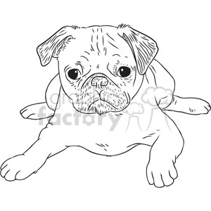 pug dog vector RF clip art images
