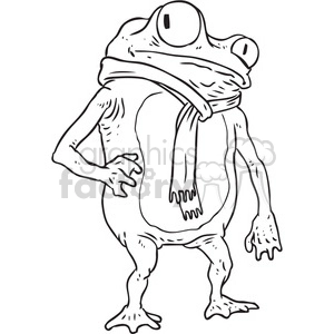 scarf on a frog