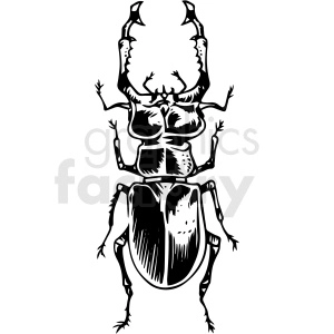 The clipart image shows a stylized depiction of a beetle. This black and white illustration features the insect with distinctive features such as its antennae, six legs, a pair of elytra (hardened forewings), and a visible thorax and abdomen.