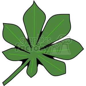green Chestnut Leaf