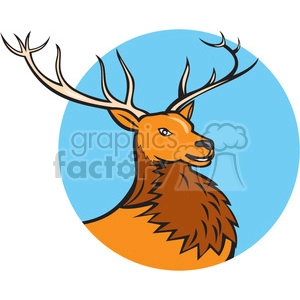 red deer HEAD SIDE CIRC
