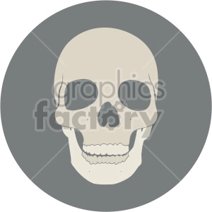 front facing skull on circle background