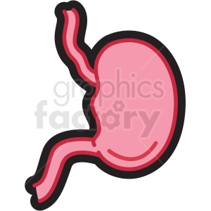 human stomach icon