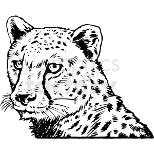 The image is a black and white clipart of a cheetah's head and upper torso. It showcases the distinctive spotted coat and the intense gaze of the animal. This style of the image gives it the appearance of being either a detailed drawing suitable for a graphic design project or a potential tattoo design featuring a big cat.