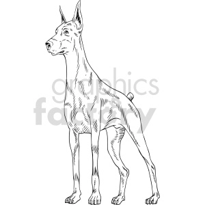 The image is a black and white line art illustration of a Doberman Pinscher, which is a breed of domestic dog. The clipart depicts the Doberman standing in a profile pose with its head turned slightly towards the viewer. It is characterized by its long muzzle, pointed ears, and sleek body.