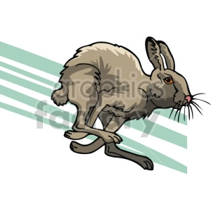 The clipart image shows a jackrabbit hare running to the right of the image. It is depicted with elongated ears and long hind legs, which are characteristic features of these animals.