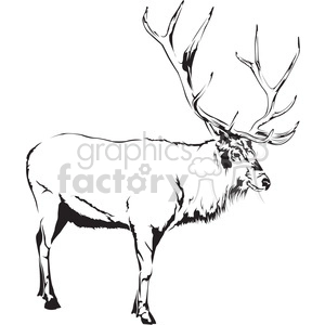 The clipart image displays a side profile of an elk with prominent antlers.