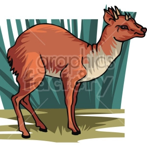 The clipart image shows a stylized depiction of a deer. The deer is standing on all four legs with its head, and short antlers held high. The image is done in shades of brown and tan, with black outlines defining the shape of the animal.