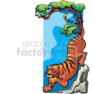 tiger climbing down a tree