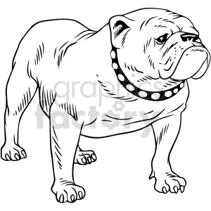 The image is a black and white clipart of a bulldog. The bulldog is depicted with distinctive features such as a broad, wrinkled face, a pushed-in nose, and a strong, muscular body. It is wearing a studded collar, which suggests that it is a domesticated pet.