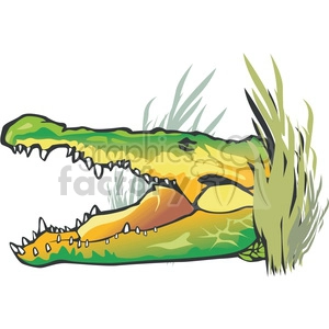 The clipart image features a stylized crocodile or alligator peeking through tall grasses with its jaw open, revealing sharp teeth. The reptile has a green and yellow coloration, and the artwork suggests that the creature is lurking or stalking in a swampy habitat, which is typical behavior for these ambush predators.