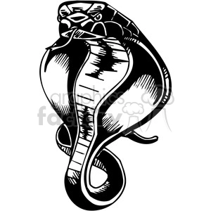 This clipart image features a stylized depiction of an aggressive cobra snake with its hood expanded, which is a typical defensive posture. The design is in black and white with a bold and simplified line art style, making it suitable for vinyl cutting, tattoo designs, and various graphical uses where a strong and impactful representation of a wild and poisonous snake is desired.