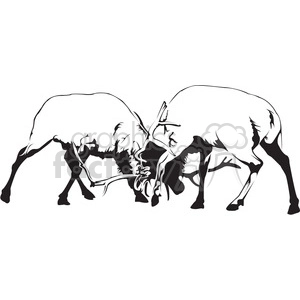 This clipart image depicts two elk or deer engaged in a confrontation, their antlers locked together as they vie for dominance. The image is a black and white silhouette that captures the intensity of a moment often witnessed in the wild during mating season when male deer or elk compete for the attention of females.