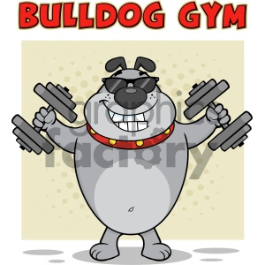 Smiling Gray Bulldog Cartoon Mascot Character With Sunglasses Working Out With Dumbbells Vector Illustration With Background And Text Bulldog Gym Isolated On White
