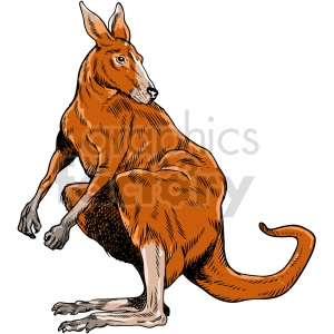 The clipart image shows a kangaroo sitting on its haunches with its tail curving out to one side and its head turned slightly as if looking over its shoulder. The kangaroo appears to be rendered in a stylized manner with lines indicating fur texture and shading, predominantly in shades of orange with some darker areas that might represent shadow or a variant of fur color.