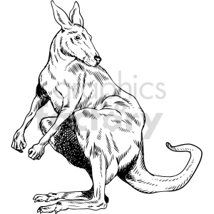 The clipart image depicts a kangaroo. The kangaroo is shown in a side profile, sitting on its haunches with its powerful tail curved on the ground for balance, and the characteristic large feet and strong hind legs that kangaroos use for hopping are prominent.