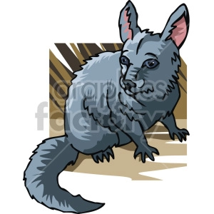 The clipart image shows a chinchilla, a small mammal. The chinchilla is sitting on its hind legs and appears to be looking to the left of the image. The background is of grass or reeds