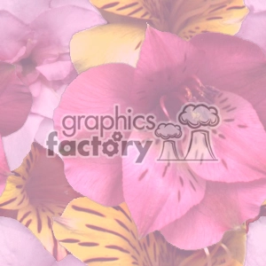 faded floral background