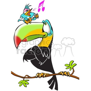 tucan listening to small bird sing