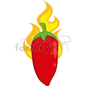 6766 Royalty Free Clip Art Red Chili Pepper On Fire