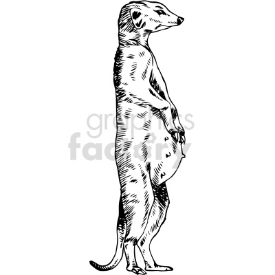 The image is a black and white clipart of a meerkat standing upright on its hind legs.