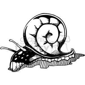 The clipart image depicts a stylized snail with a detailed, spiral shell and a dotted body. The image is black and white, designed with bold lines and shading that would make it suitable for vinyl cutting or as a tattoo template.