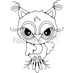 Owl Front View
