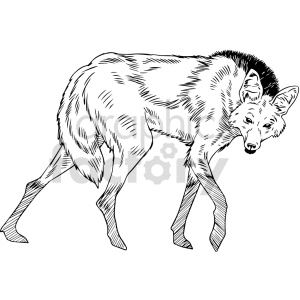 The image is a black and white line art illustration of a spotted hyena. It is depicted in a semi-crouched pose with a noticeable hunched back.