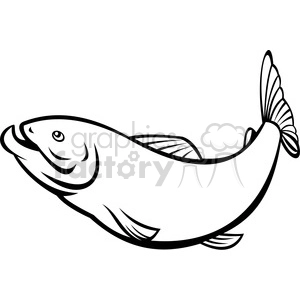 black and white herring fish