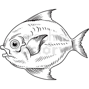 black white realistic fish