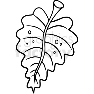 The image depicts a line art drawing of a tropical or jungle leaf, which is characterized by a large size and a distinct, lobed appearance. The leaf shows a central vein and several lateral veins branching out to the edges. There are also a few spots that may represent water droplets or natural blemishes on the leaf surface.