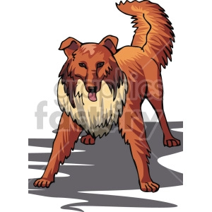 The clipart image depicts a collie dog. It has a browny orange coat, with a white patch on its chest. It is facing towards you with its tongue out