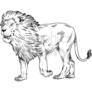 The image is a black and white clipart illustration of a lion. It shows the full profile of the lion standing, with a detailed mane, facial features, and tail.