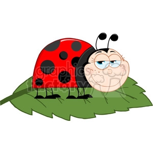 Royalty-Free-RF-Copyright-Safe-Happy-Ladybug-On-A-Leaf