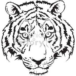 tiger head black and white illustration