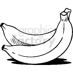 black and white banana vector clipart