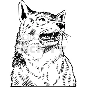 The clipart image depicts a close-up of a wolf's face. The wolf appears to be in mid-growl or vocalizing, with its mouth open, revealing teeth, and a somewhat intense gaze. There's a good amount of detail in the fur texture, expressed through varying thicknesses of lines to capture the animal's rugged features.