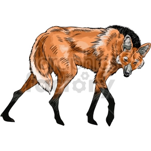 The clipart image features an illustrated animal that resembles a maned wolf with its characteristic long legs, reddish fur, and large ears. However, given that the keywords include animals hyena dog, it’s possible that this image was intended to represent a stylized version of either a hyena or a wild dog species that shares physical traits with the maned wolf. 