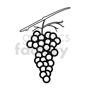 grapes vector graphic 08