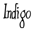 Nametag+Indigo 