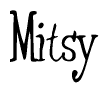Nametag+Mitsy 