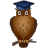   education diploma diplomas school graduation cap owl owls Animations Mini Education  
